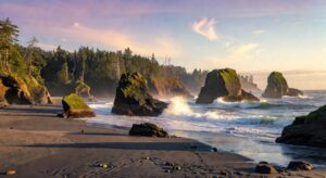 Olympic Coast