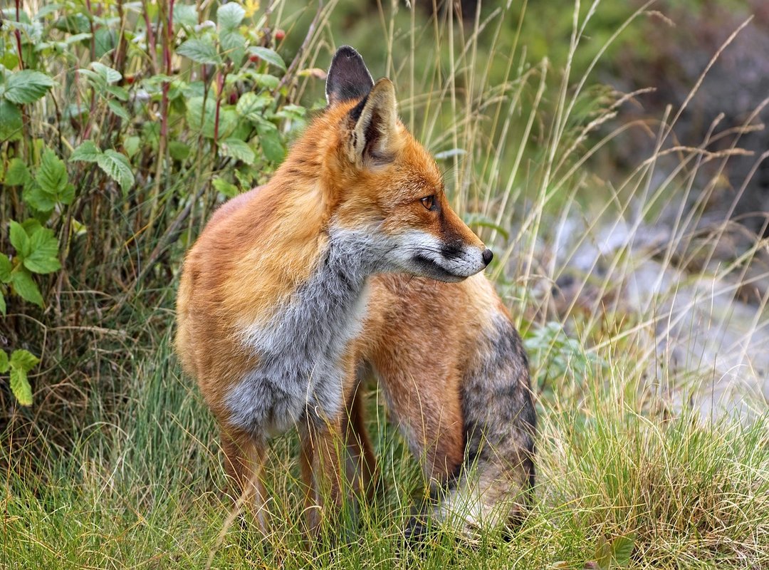 Lwmfhotels Offers by Lookwhatmomfound