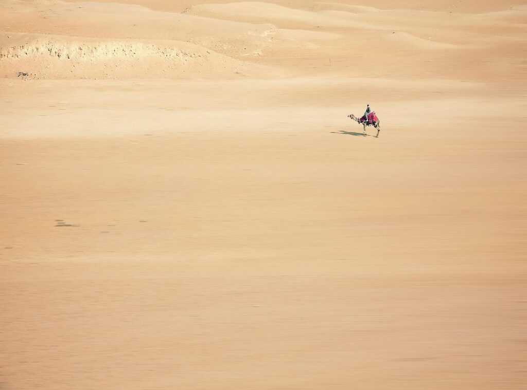 Sahara desert safaris