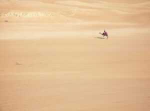 Sahara desert safaris