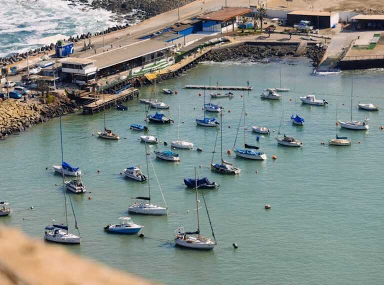 shirley arica tatuajes