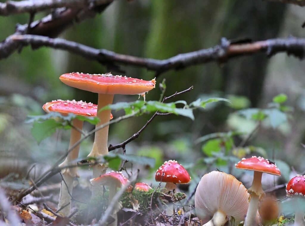 einde presentatie meme gif