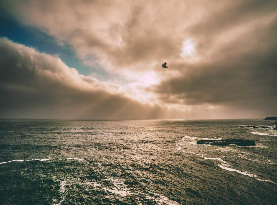 Navigating the Route: What to Expect on the Wall