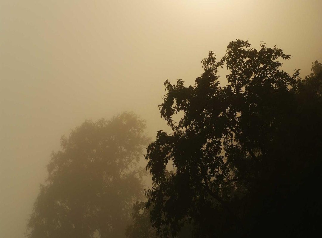 Beyond Speed: Crafting a Show-Stopping Visual Style