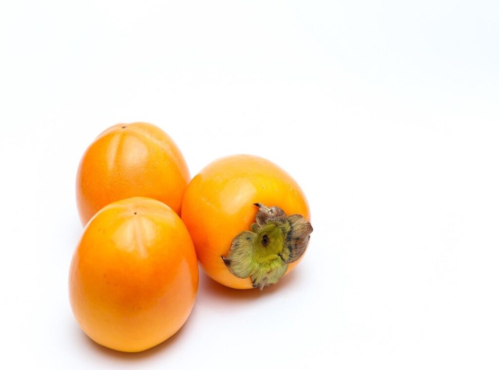 official kaki rembat zip