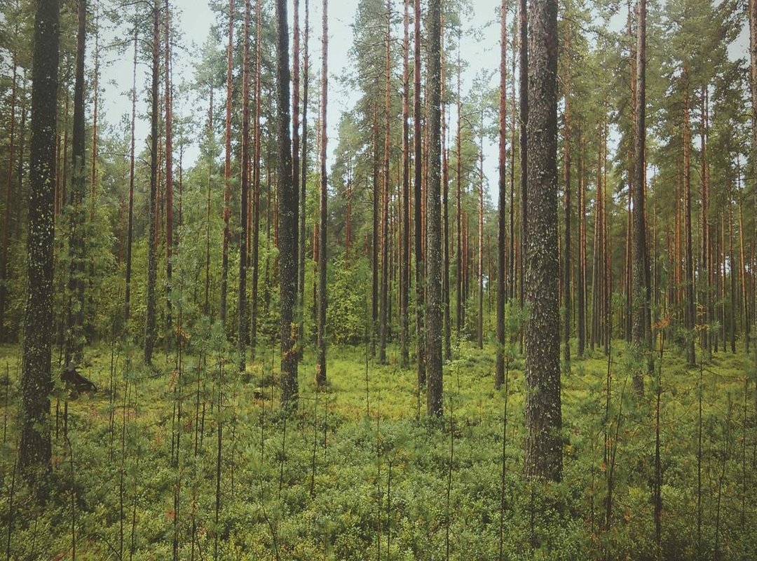 Perfect Timing: How and When to Send a Romantic GIF