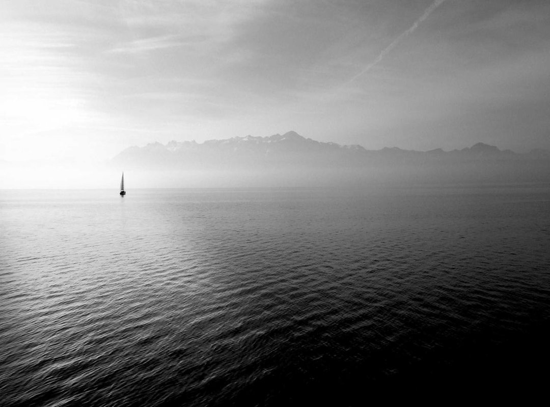 Beyond the Nightlife: Community and Activism