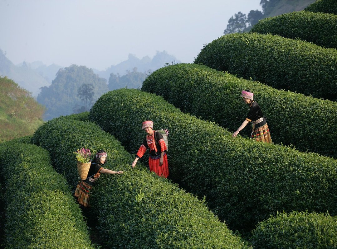 User Experiences and Testimonials