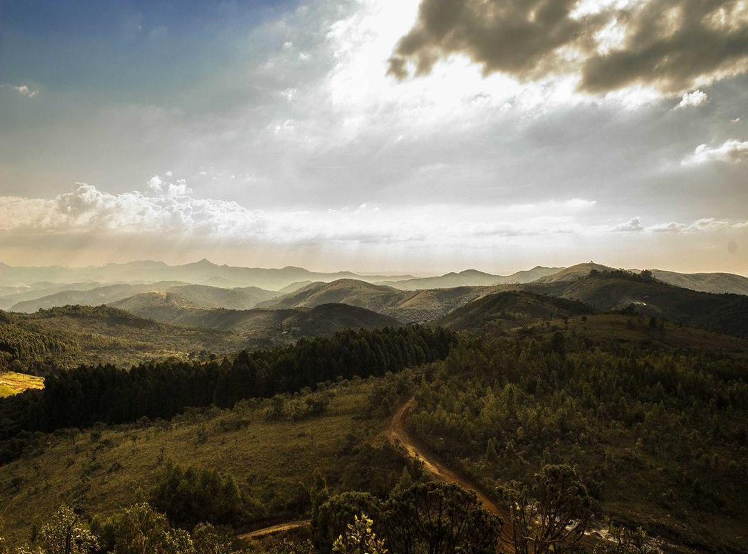 Free vs. Paid Templates: Is It Worth Paying for a Logo?